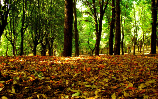 478622 (a): :1920x1200